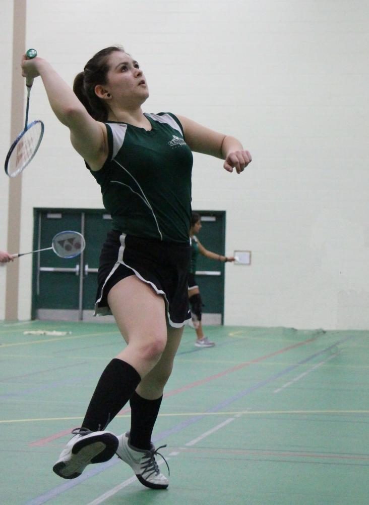 Badminton photo