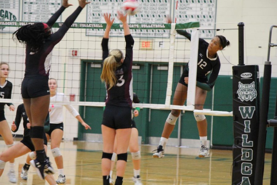 Taylor Landfair, junior, spikes the ball in their win over Plainfield North on Sept. 6. She has played for team USA in the past.