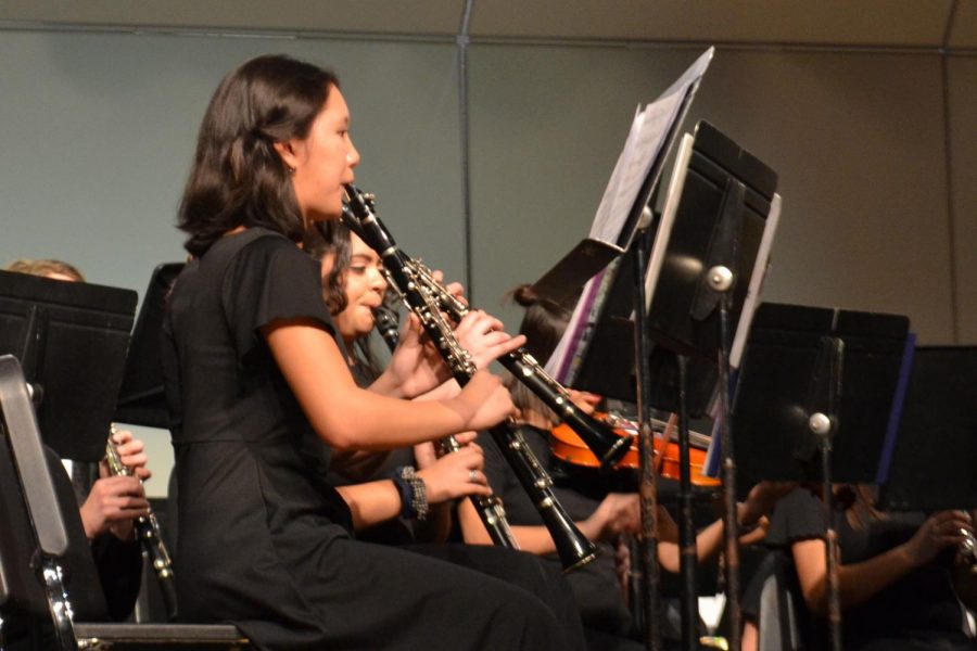 Band member Robyn Aparri, junior, plays clarinet at the Plainfield Invitational Concert Band Festival on March 2.