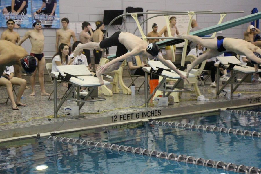 Jameson Gould, Plainfield North junior, dives in to start a free relay at the SPC  invitational meet on Feb. 8. 