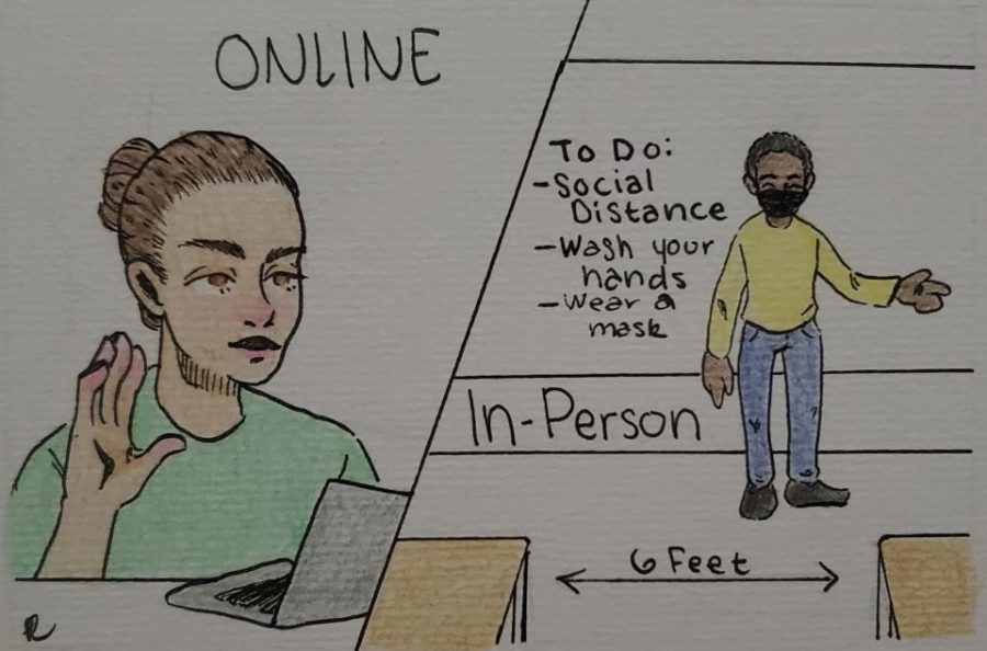 online vs irl.color