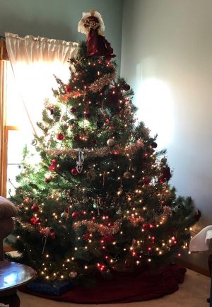 Are real or fake trees better for Christmas?