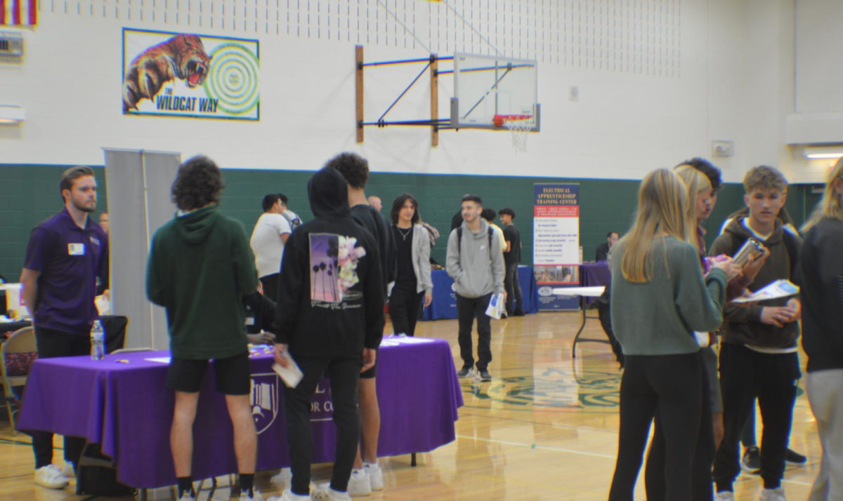 Students at the Job Fair