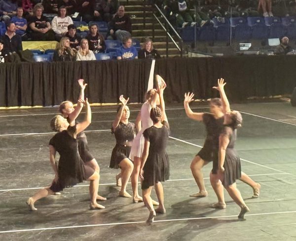 The dance team preforms their routine at state after practicing hard the entire comp season.