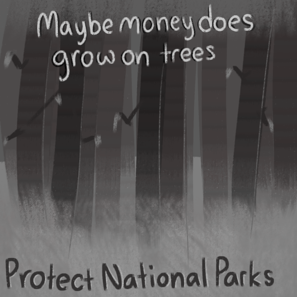Protecting our forests protects us