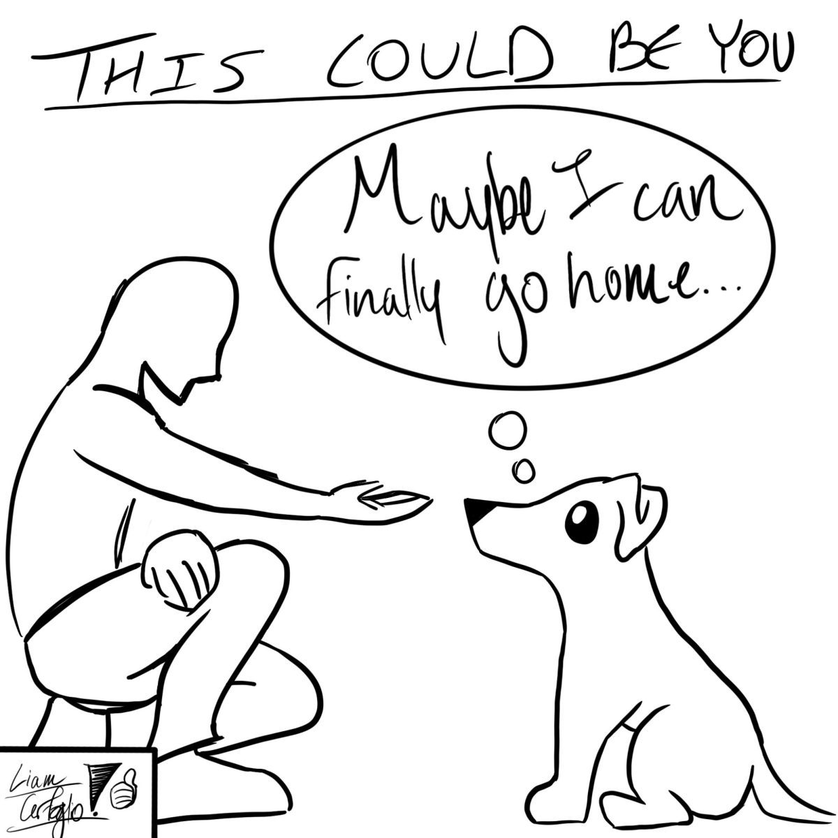 Shelter pets deserve happy homes
