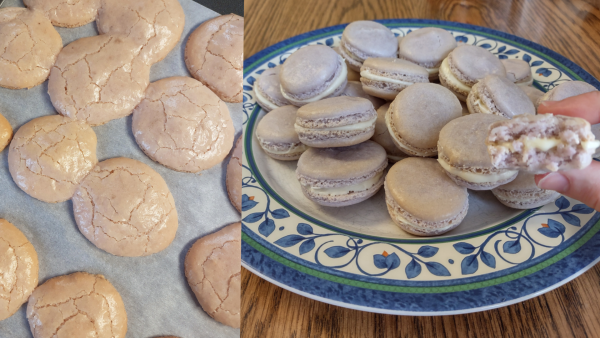 Shells of the first attempt at macarons (left) and fifth attempt at macarons with a cream cheese filling (right).